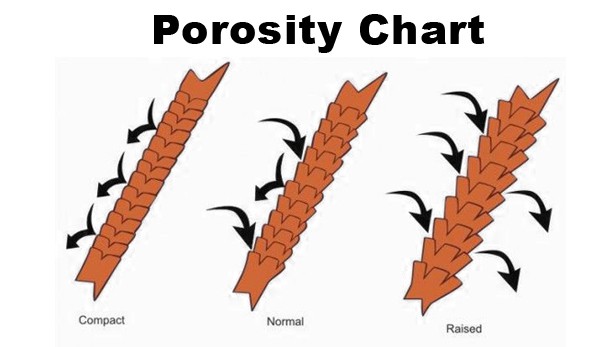 Hair Porosity Chart